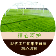 真正大數據營銷